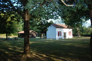 Surrounded by lush greenery, this charming building offers a serene escape.