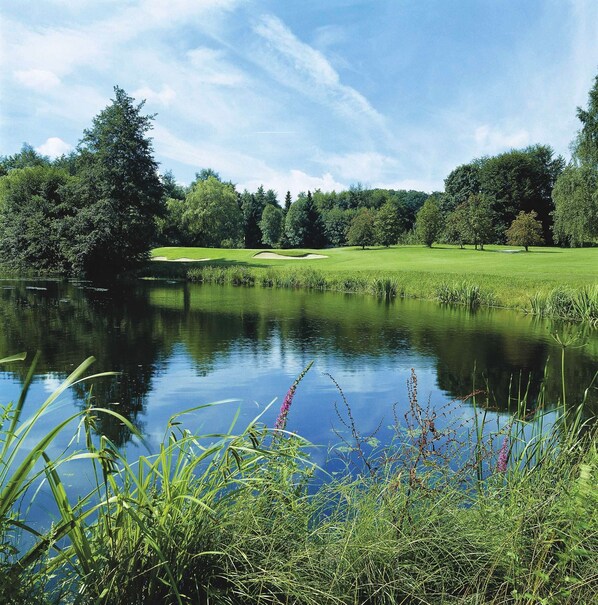 Unclassified image, 1 of 19, button