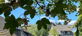 Double room - Hotel Gut Moschenhof