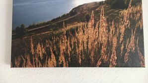 Landschaftsansicht mit einem Gewässer, grünen Feldern und einer fernen Küste.