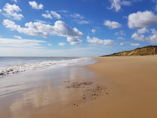 5 Sea View Walk - comfortable family home right on the beach, free parking, pets