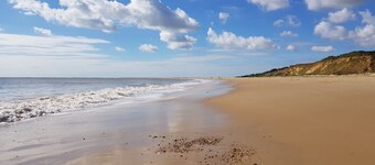 5 Sea View Walk - comfortable family home right on the beach, free parking, pets