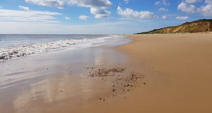 5 Sea View Walk - comfortable family home right on the beach, free parking, pets