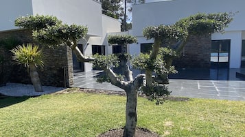 Área da propriedade