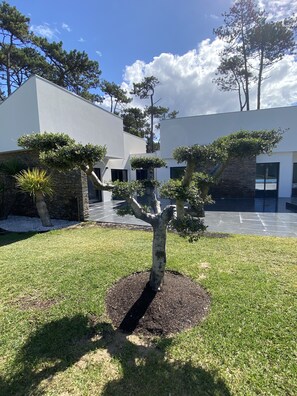 Área da propriedade