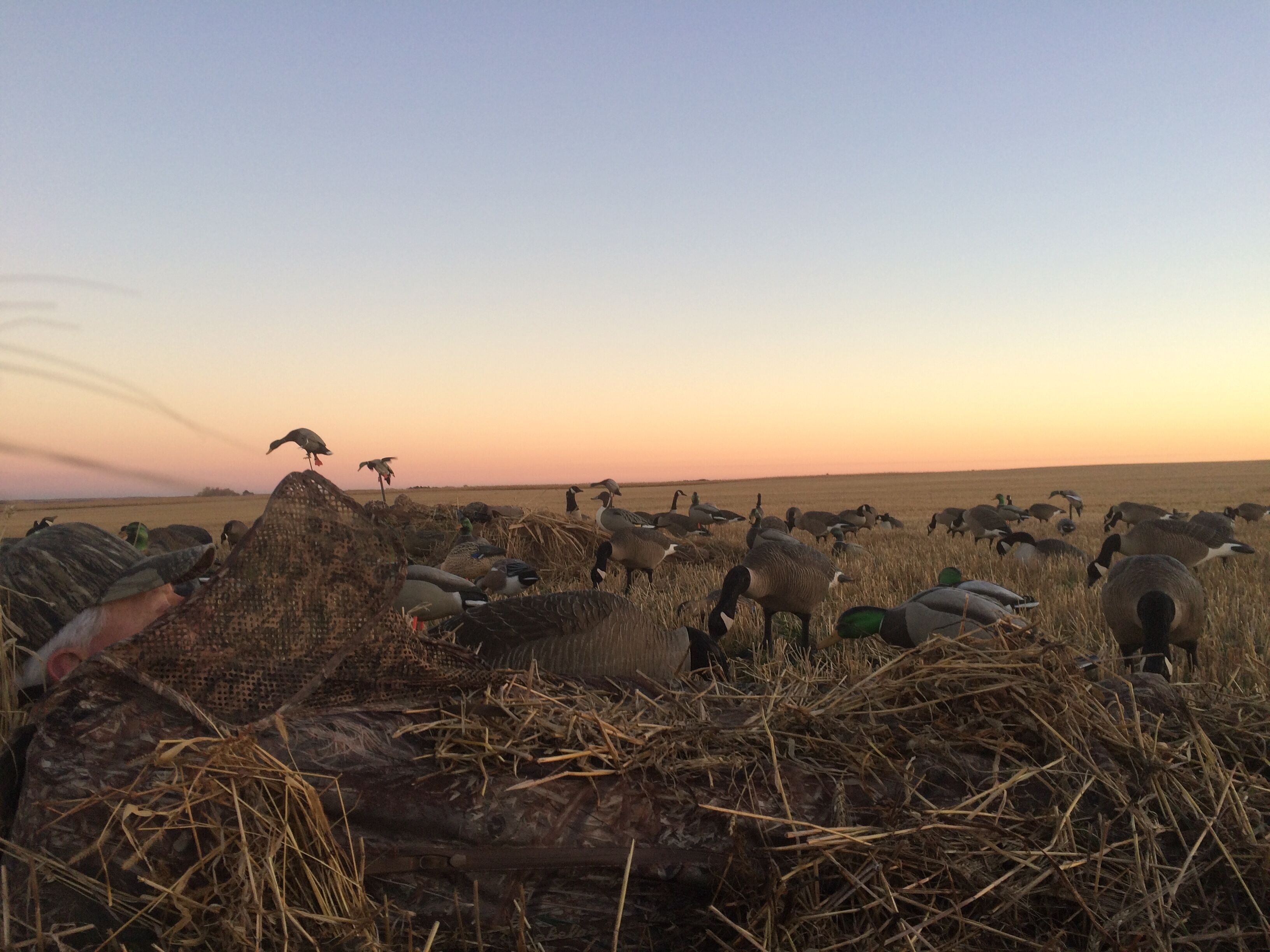 North Dakota Hunting, Recreation and horse Ranch