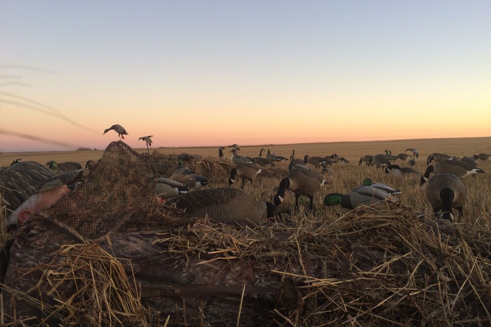 North Dakota Hunting, Recreation and horse Ranch