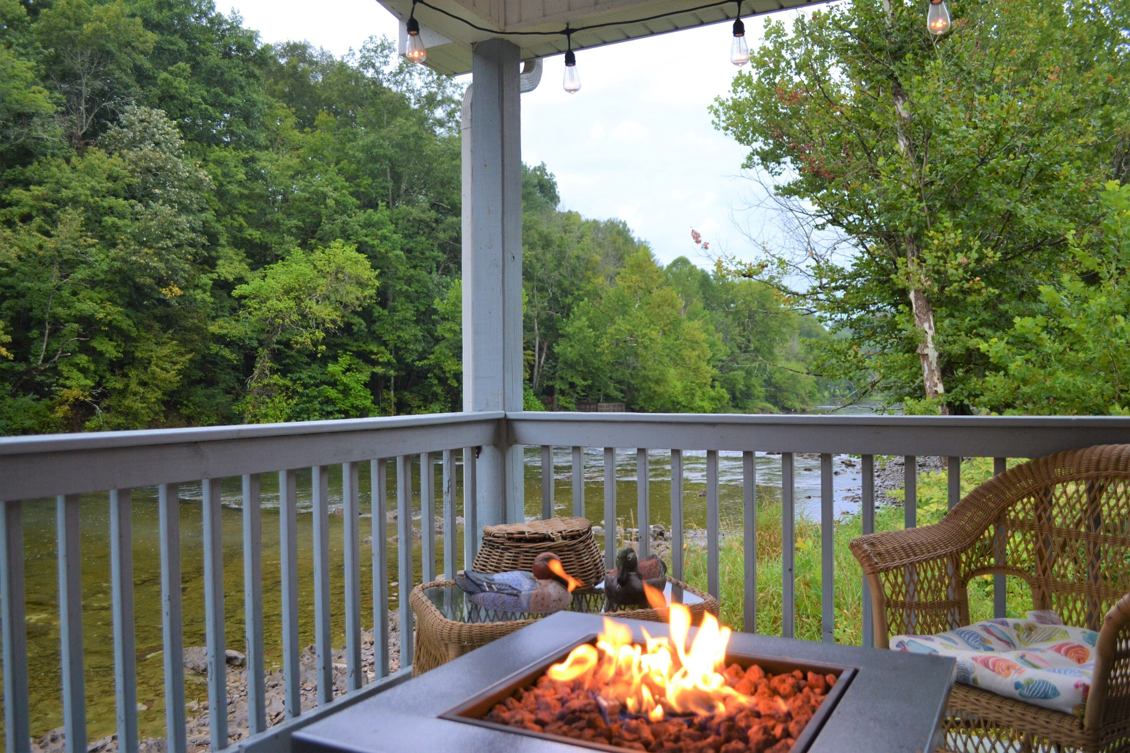 Enchanting 2 Bedroom Cottage with Porch over the South Holston River & Firepit! 