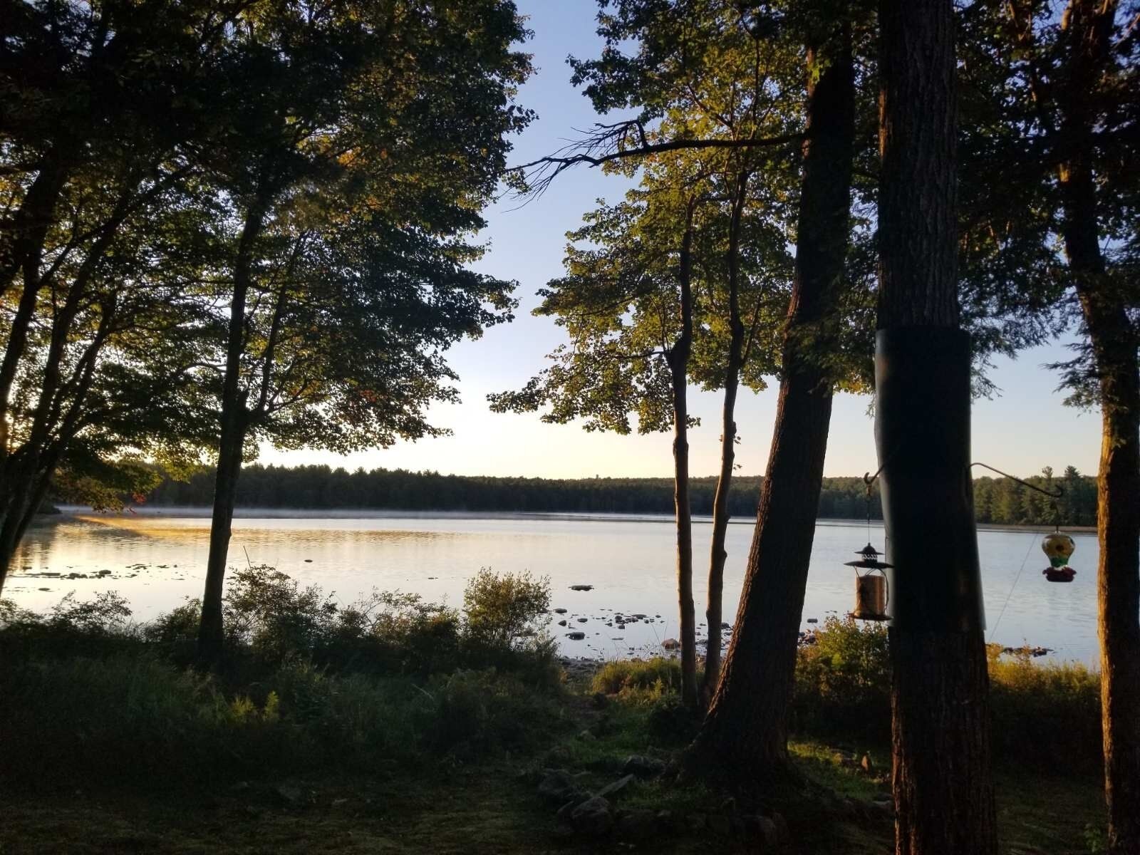 A serene lakeside setting with tall trees and a dock extending into the water.