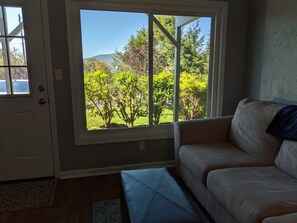 TV a schermo piatto, caminetto, lettore DVD, tavolo da calcetto