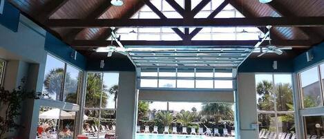 屋外プール、温水プール