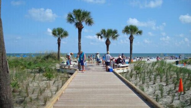 A wooden boardwalk leading to a beach with palm trees and people. - Fully remodeled, block to beach. 2-story, first floor entry, park at front door (Hilton Head Island)