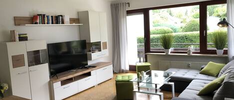 Una televisión, libros