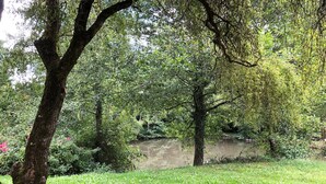 A lush green park with mature trees and a calm water body. - Pleasures and Idleness... (Boisredon)