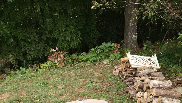 Un foyer circulaire en pierre, entouré d’une zone herbeuse, avec une pile de bois de chauffage placée à droite.