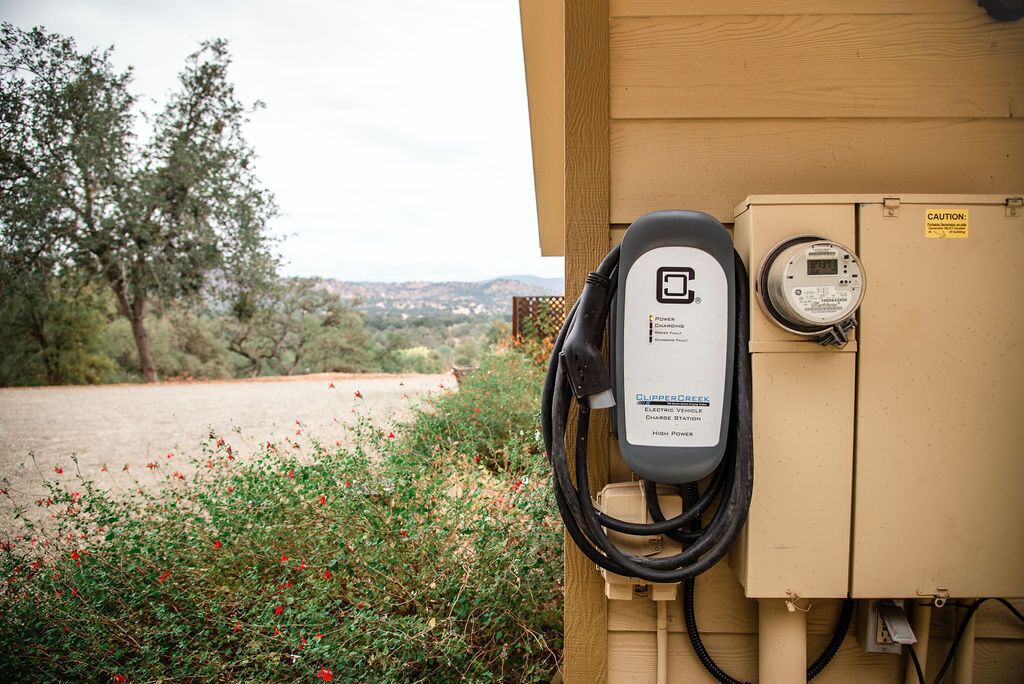 An electric vehicle charging station attached to a utility box with a digital display, set against a backdrop of trees and a dirt path.