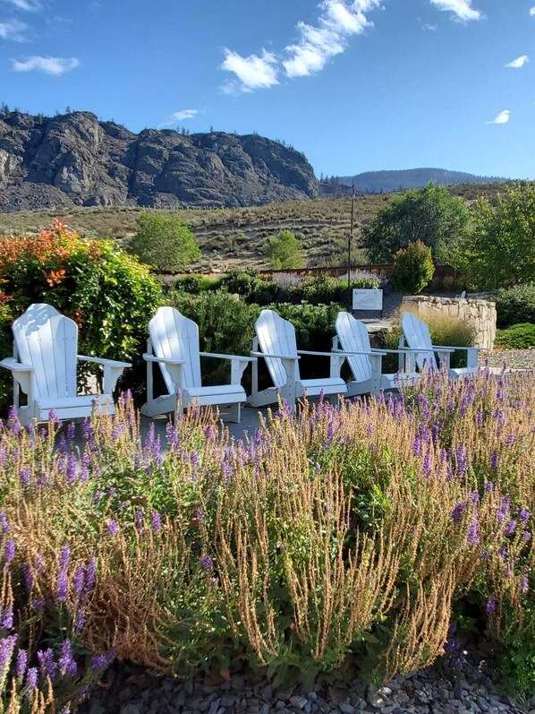A row of white Adirondack chairs facing a garden with purple flowers and a mountainous landscape in the background.