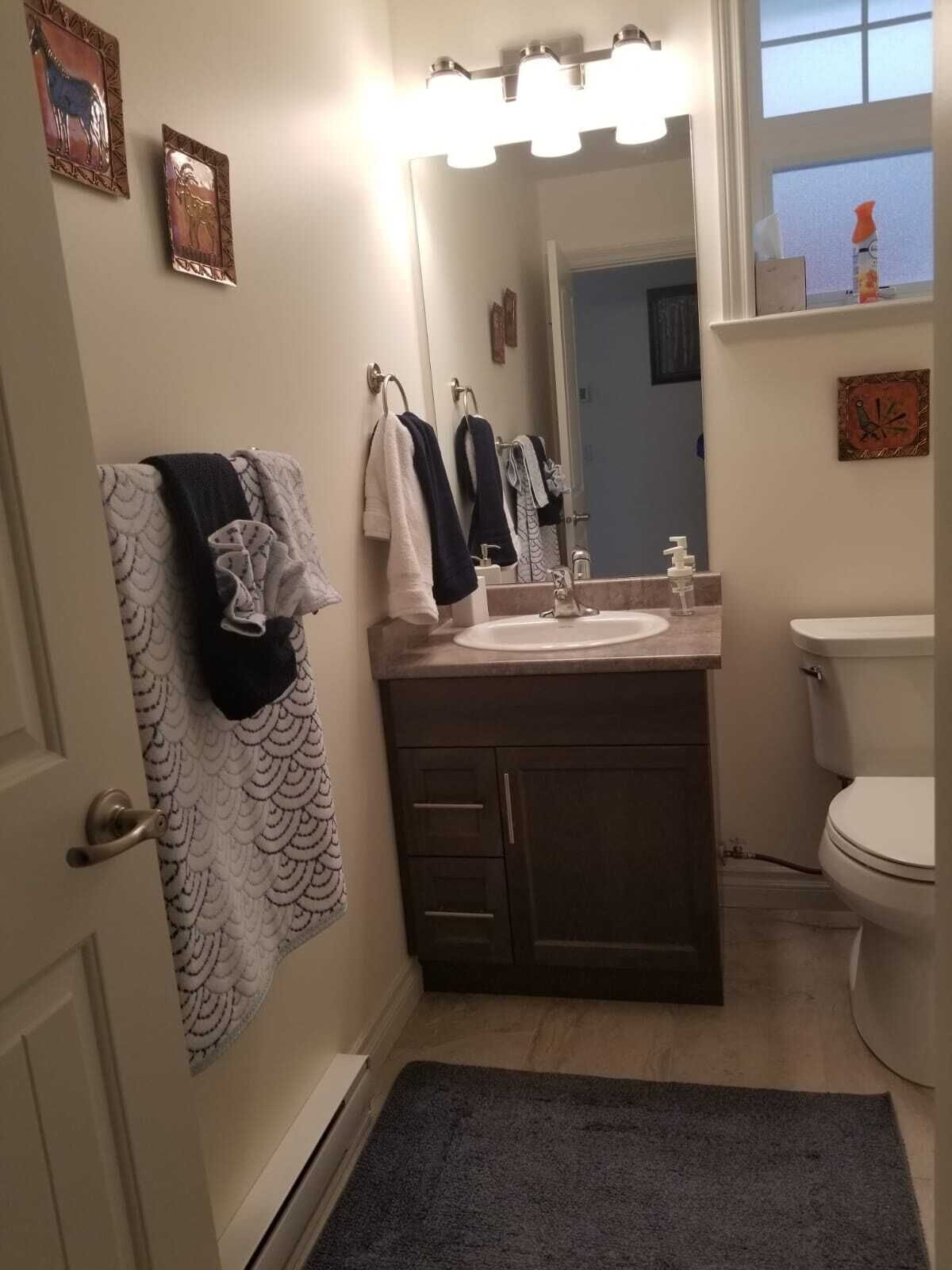 A bathroom with a vanity, sink, and toilet. There are towels hanging on the wall and a rug on the floor.