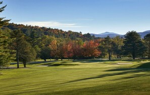 Golf - Stylish 2 bdrm/2 bath: named "The best small condo in Stowe" (Stowe)