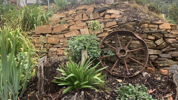 Un jardin avec un mur de pierres, une roue rouillée et diverses plantes.