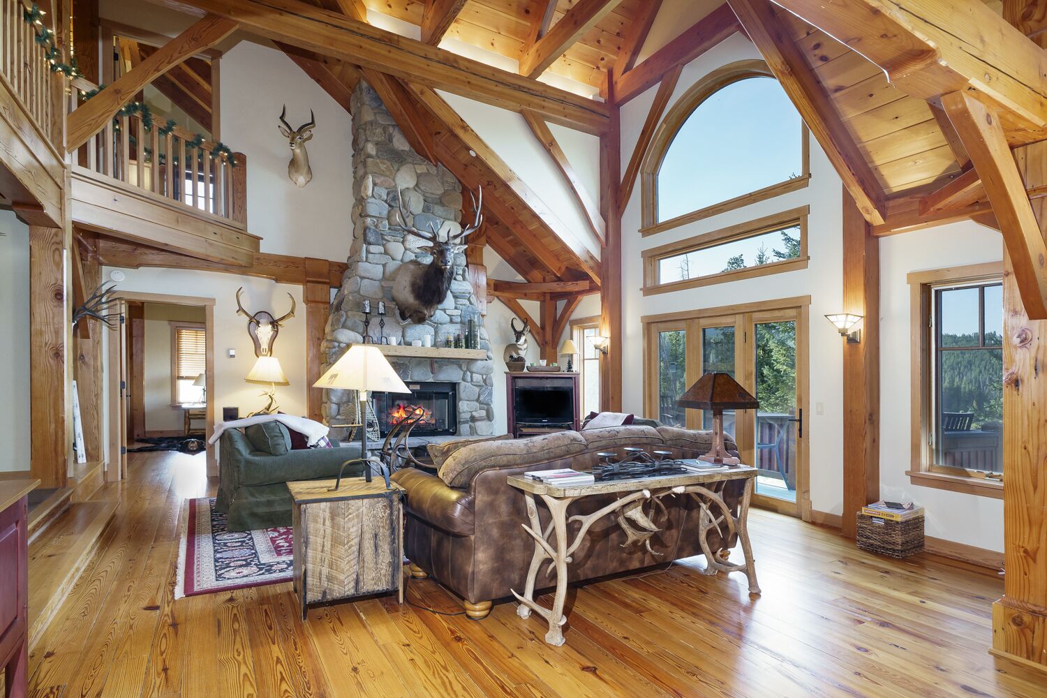 تلفزيون، مدفأة، كُتُب