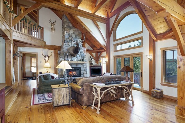 TV, fireplace, books