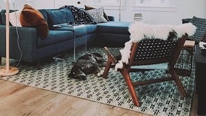 A modern living room with a blue sectional sofa, a patterned rug, and a dog lying on the floor. - Vintage-inspired cottage in Seabrook, sleeps 7 (Pacific Beach)
