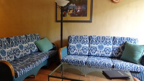 智能電視、書籍