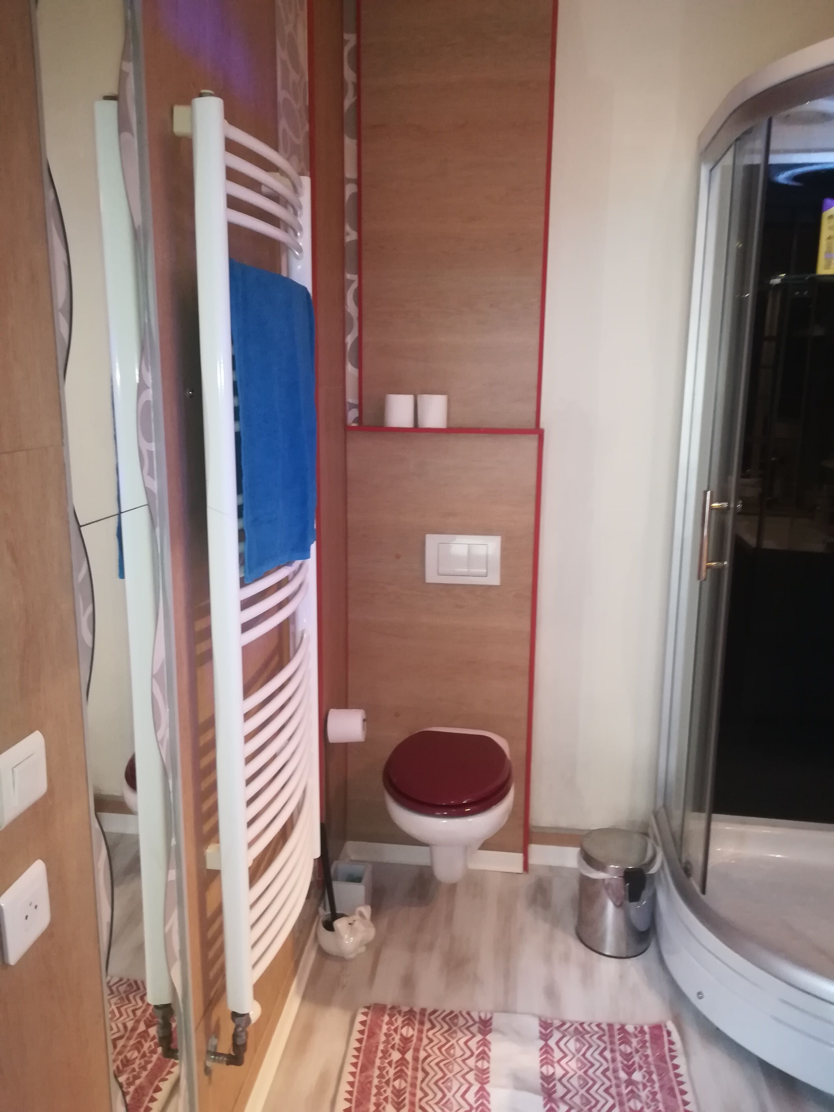 Une petite salle de bain comprenant des toilettes, une douche et un porte-serviettes.