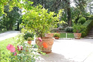A garden with potted plants and flowers. - La Pergola in Castell'arquato (Castell'Arquato)