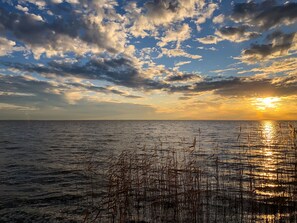 Imagen sin descripción, 5 de 23, botón