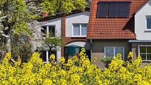A row of houses with a garden of yellow flowers in front. - HB Landhaus am Bauernhof in Ostseeland - 4-room country house with barbecue terrace (Kröpelin)