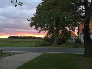 A paved driveway leading to a house with a tree in the foreground. - HB Landhaus am Bauernhof in Ostseeland - 4-room country house with barbecue terrace (Kröpelin)