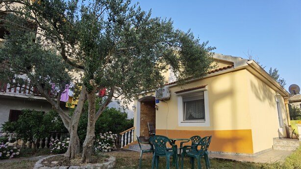 A small yellow building with a window and a door, surrounded by a garden with a tree and flowers.