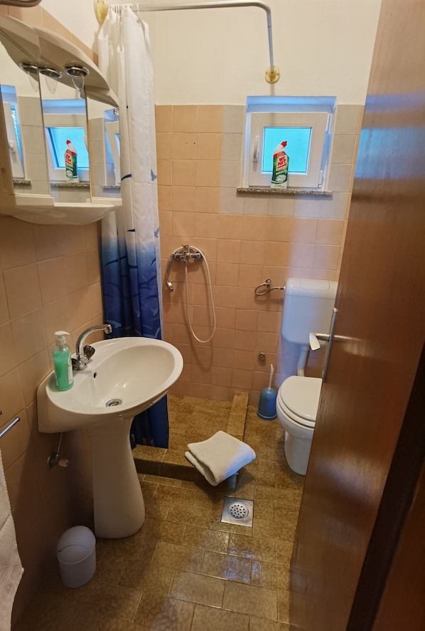 A bathroom with a sink, toilet, shower, and a window with a bottle of detergent. - Kuca sa vrtom za samostalnu upotrebu (Bibinje)