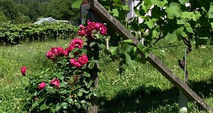 Ferienhaus Feil
