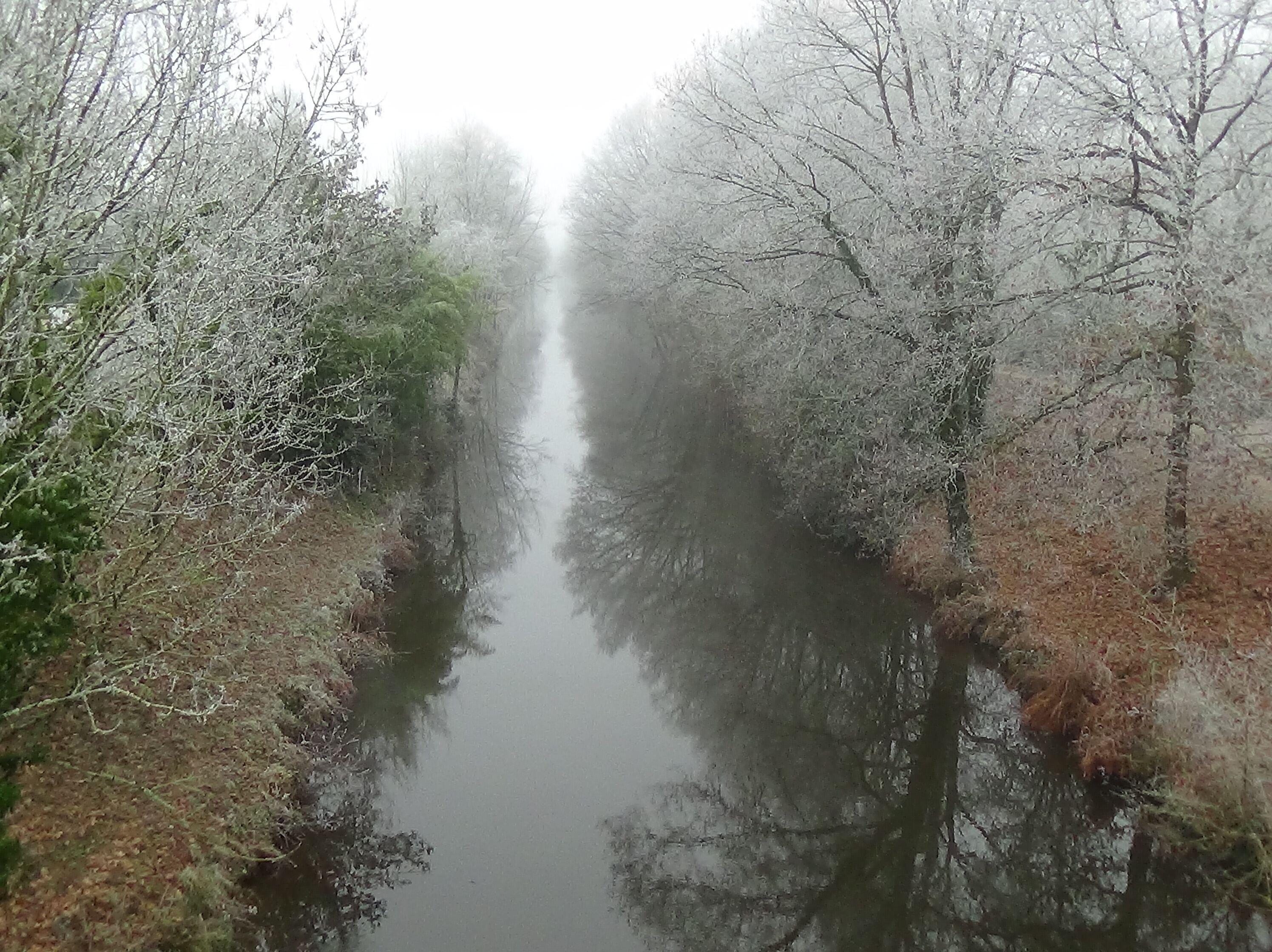 A narrow waterway flanked by leafless trees, reflecting the surrounding foliage.