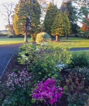 คอทเทจ | สวน