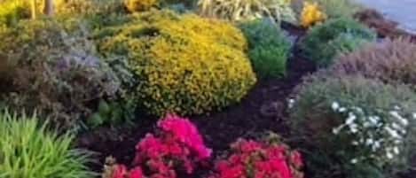 คอทเทจ | บริเวณที่พัก