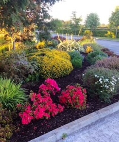 Charming 3-bed Cottage Moira - Hillsborough