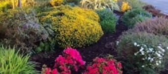 ชาร์มมิ่ง 3-เบด คอทเทจ โมอิรา - ฮิลสโบโร