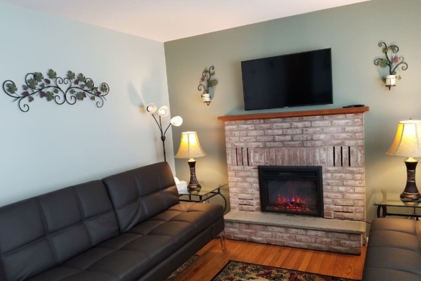 TV, fireplace, books