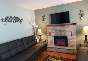 TV, fireplace, books