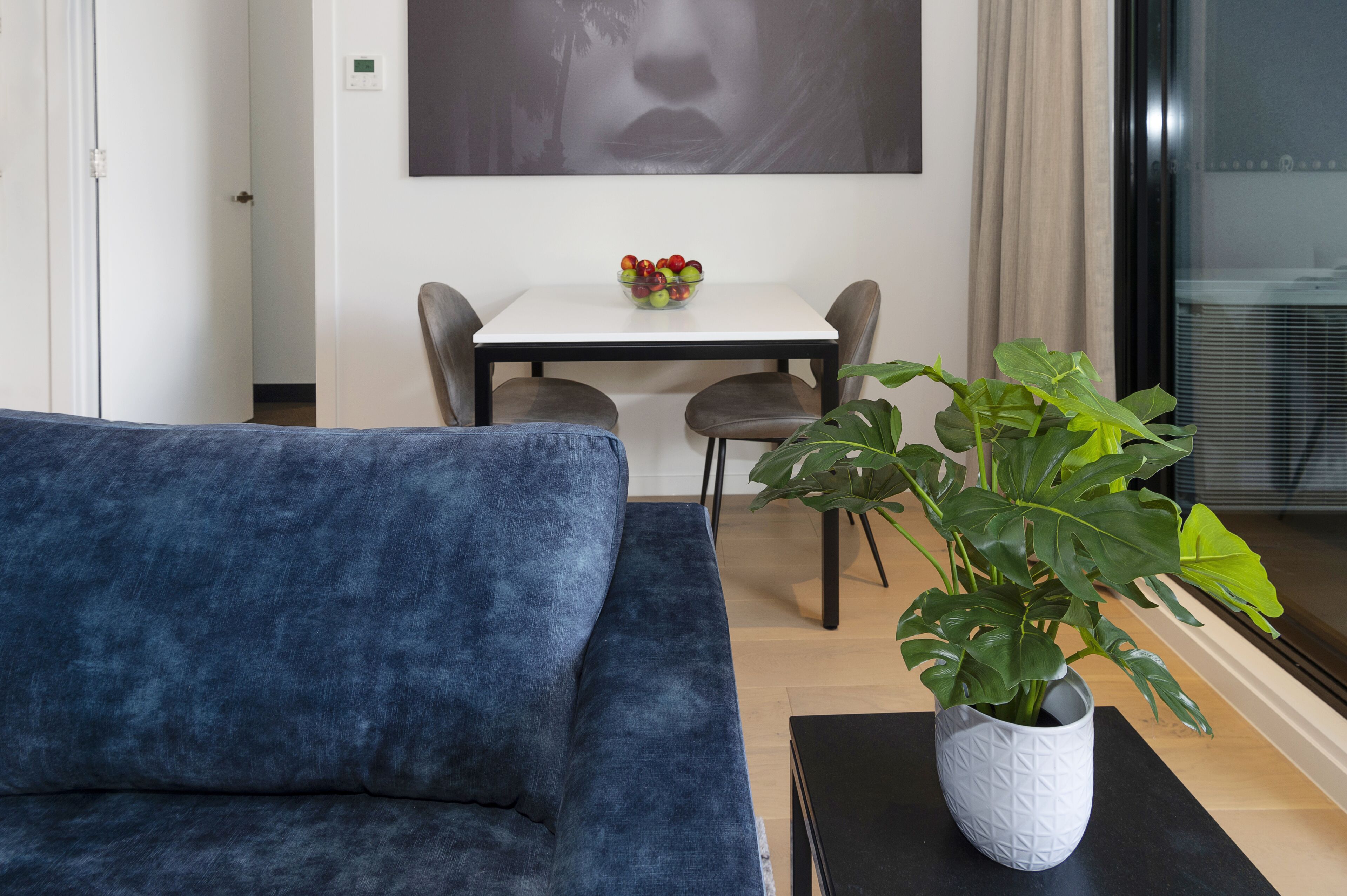 Un salon moderne avec un canapé bleu, une table à manger et des chaises, ainsi qu’une plante en pot.