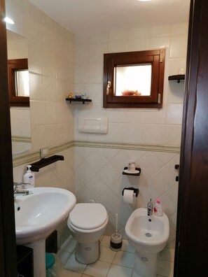 Shower, hair dryer, bidet, towels