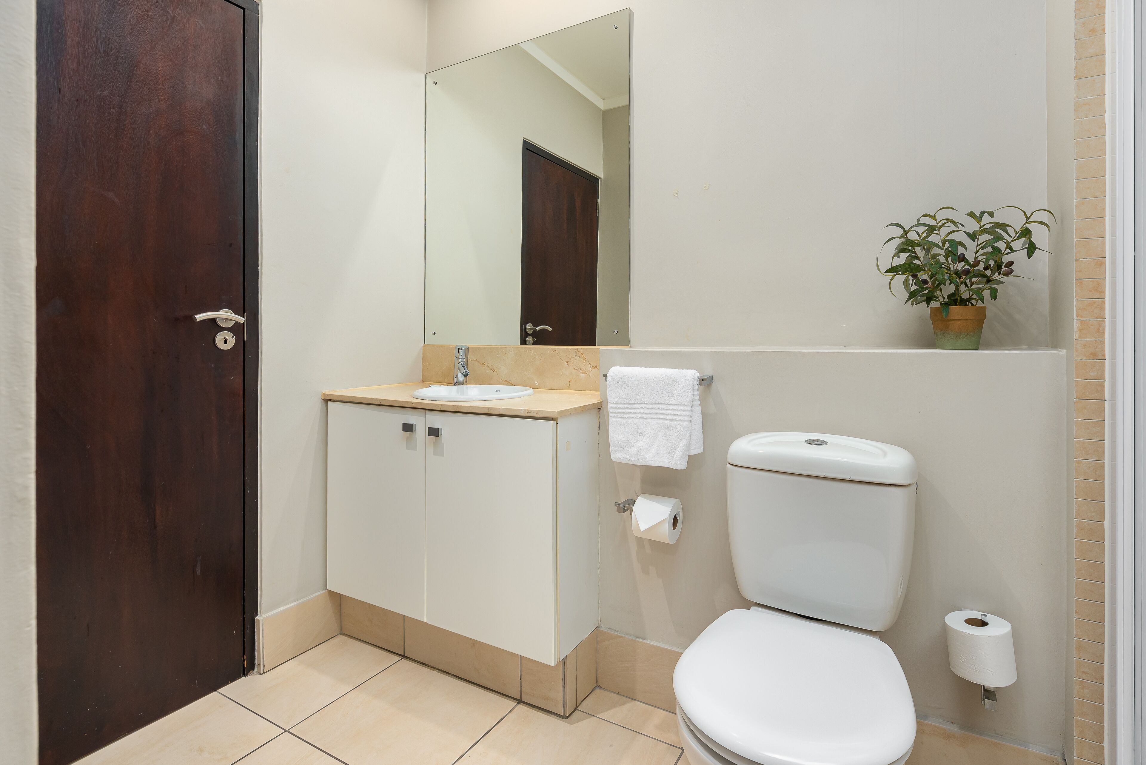 Un baño con inodoro, lavamanos, espejo y una planta en maceta.