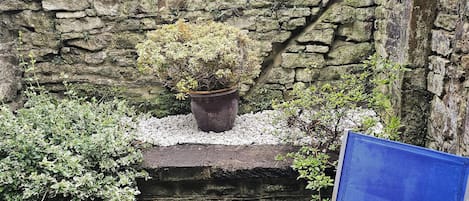 Maison | Enceinte de l’hébergement