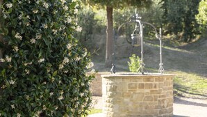 Une fontaine en pierre ornée d’une sculpture métallique, située dans un parc.