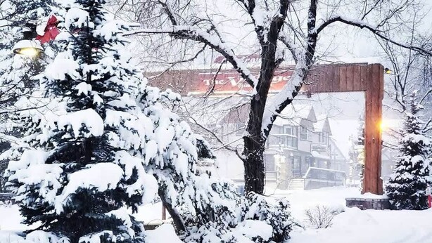 A snowy landscape with a wooden structure, possibly a gazebo, surrounded by snow-covered trees. - Red Robin W  Hot Tub Retreat Near Big Bear Lake (Big Bear Lake)