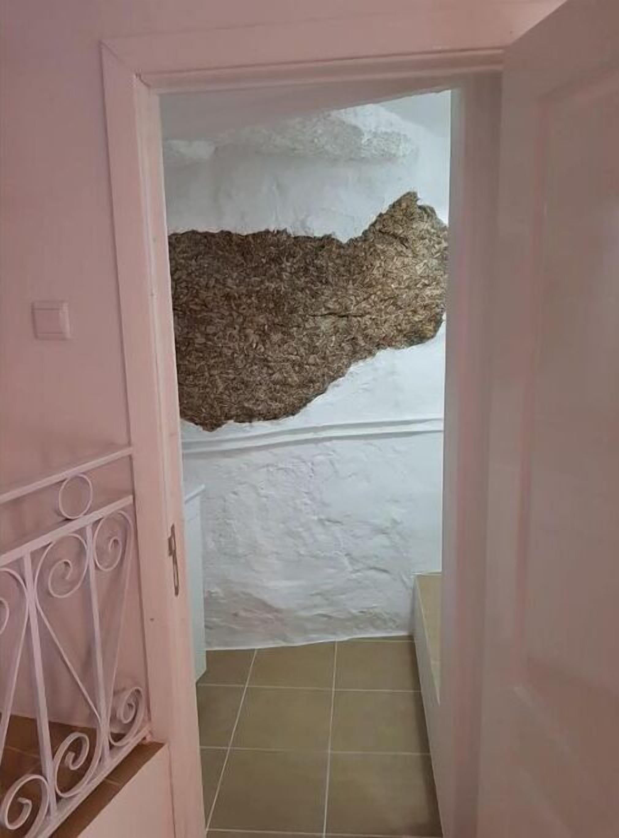 Un couloir avec un mur blanc à texture et un objet marron à texture accroché à ce mur.